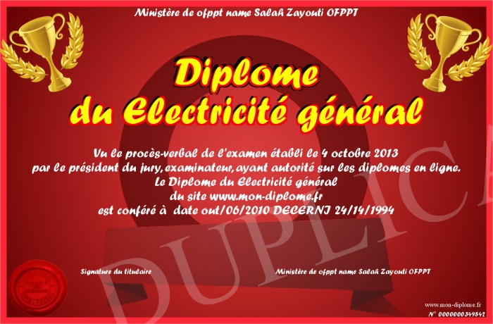 diplome universitaire electricite